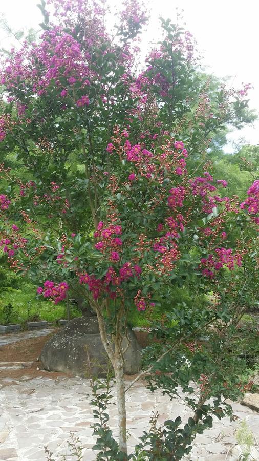 Bright Moon Homestay Dongshi  Luaran gambar
